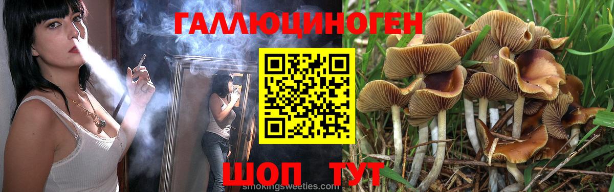 Псилоцибиновые грибы мухоморы Нововоронеж