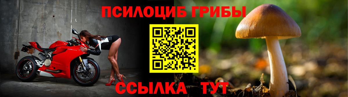 Галлюциногенные грибы MAGIC MUSHROOMS  Вход с VPN  что такое   Нововоронеж 